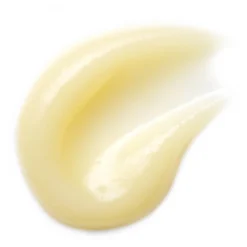 Sarah Chapman Overnight Lip Concentrate 6.5ml -Maison Margiela 11395409 7834943597826396