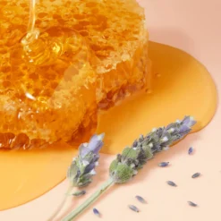 NUXE Rêve De Miel Lip Balm New Formula -Maison Margiela 11897399 1814988899890960