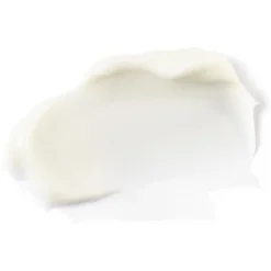 The INKEY List Peptide Moisturizer 50ml -Maison Margiela 12435692 5785061809922741