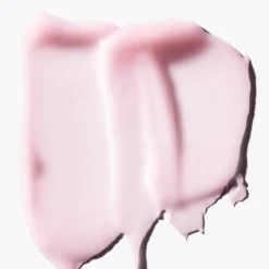 Fresh Rose Petal Soft Lip Cream 10g -Maison Margiela 13127480 3894876977858546