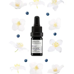 Odacité Cell Energy Serum Concentrate (Blueberry + Jasmine) 7 Odacité Cell Energy Serum Concentrate (Blueberry + Jasmine) -Maison Margiela 13312459 1224899084573444