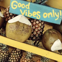 Sun Bum Sun Bum Day Tripper Kit -Maison Margiela 13313014 3384899086538906