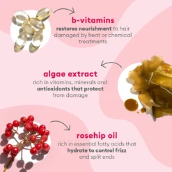 Briogeo Don't Despair, Repair! Strength And Repair Solutions Value Set For Dry And Damaged Hair -Maison Margiela 13554609 1664928048242401