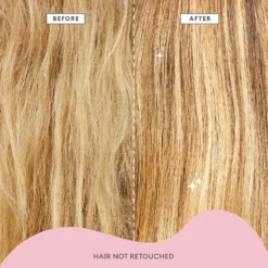 Briogeo Don't Despair, Repair! Strength And Repair Solutions Value Set For Dry And Damaged Hair -Maison Margiela 13554609 5854928047894746