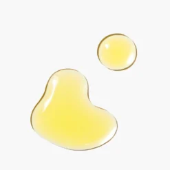 Kinship Kinskin Ceramide Barrier Repair Oil 30ml 10 Kinship Kinskin Ceramide Barrier Repair Oil 30ml -Maison Margiela 14238926 2095040539391021