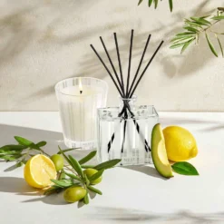 NEST New York Santorini Olive And Citron Reed Diffuser 175ml 13 NEST New York Santorini Olive And Citron Reed Diffuser 175ml -Maison Margiela 14293499 1175040290711031