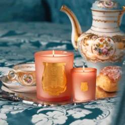 TRUDON Scented Candle 70g - Tuileries -Maison Margiela 14539072 1425049664856670