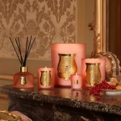 TRUDON Scented Candle 70g - Tuileries -Maison Margiela 14539072 1755049664704114